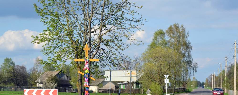 
            Фотография Дягельца