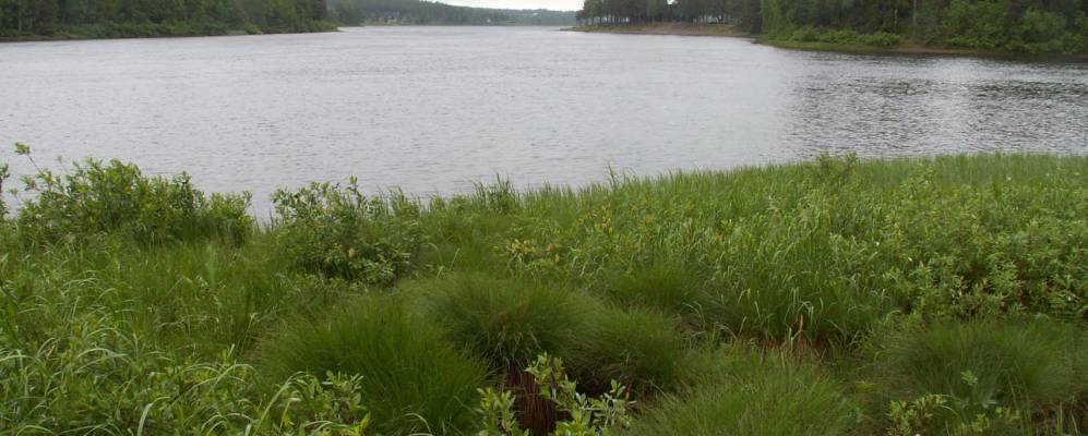 Фотография Терендё