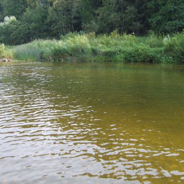 Петрецово (Нерльское сельское поселение)