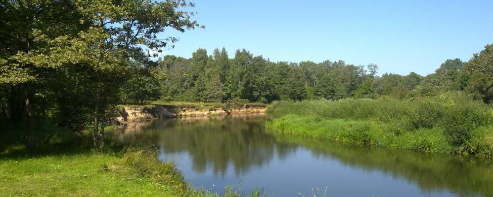 Фотография деревни Козевичи