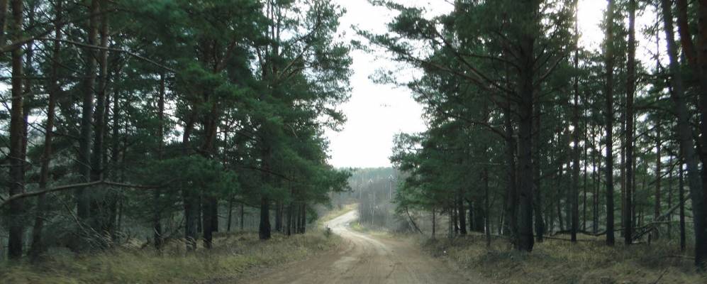 
            Фотография деревни Кузнецы