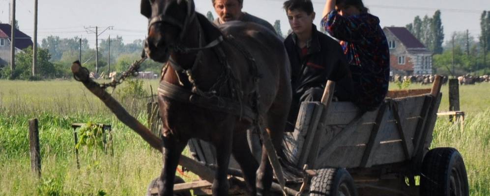 
            Фотография Букового