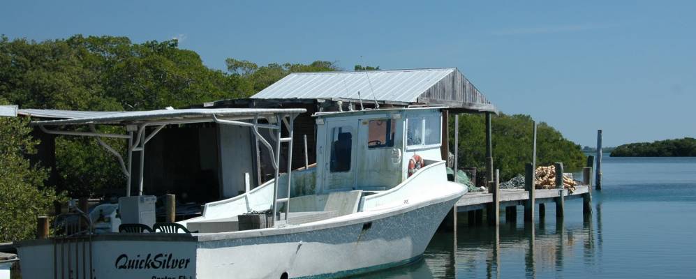 
            Фотография Кортеза