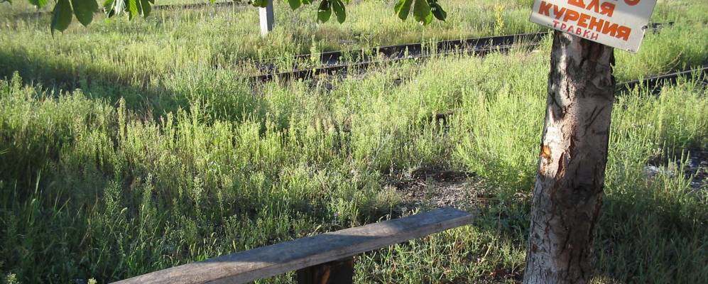 
            Фотография Фироновки