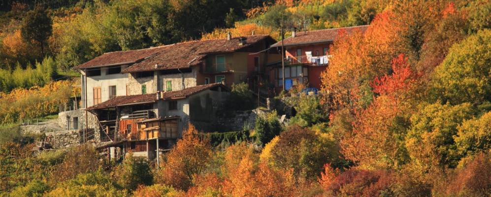 
            Фотография Пьанконьо