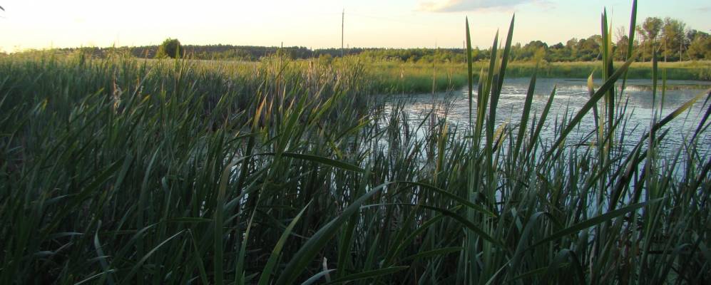 Фотография Троцилово