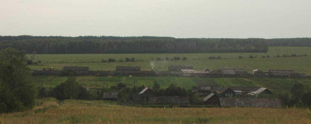 
            Фотография Сосновки