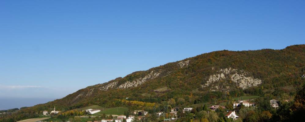 
            Фотография Бардонадзи