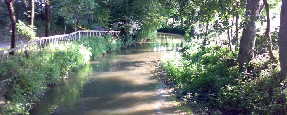 
            Фотография Оффлаги