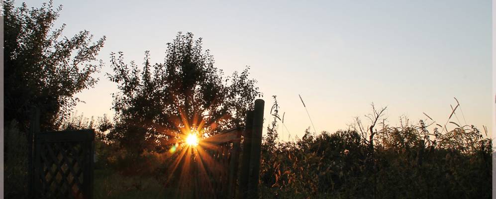 
            Фотография Фризенхайм