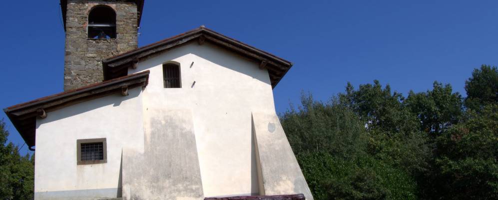 
            Фотография Понтиды