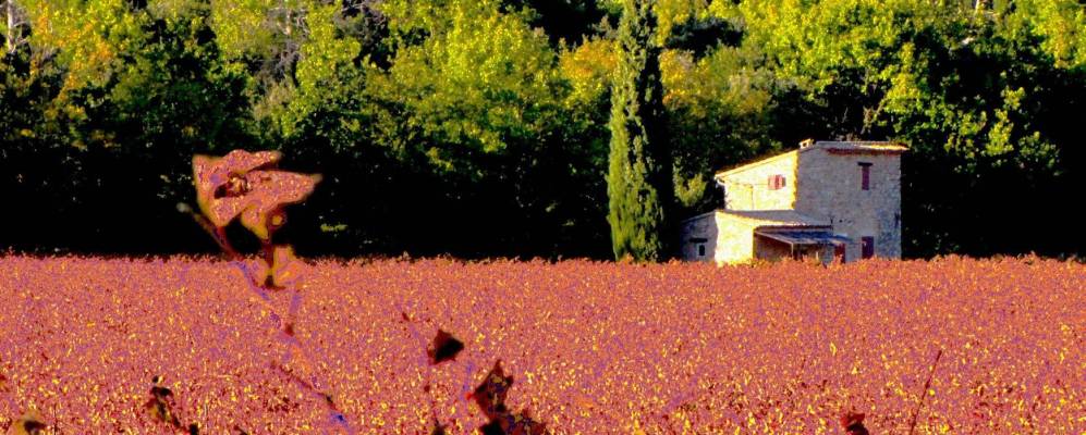 
            Фотография Кабас