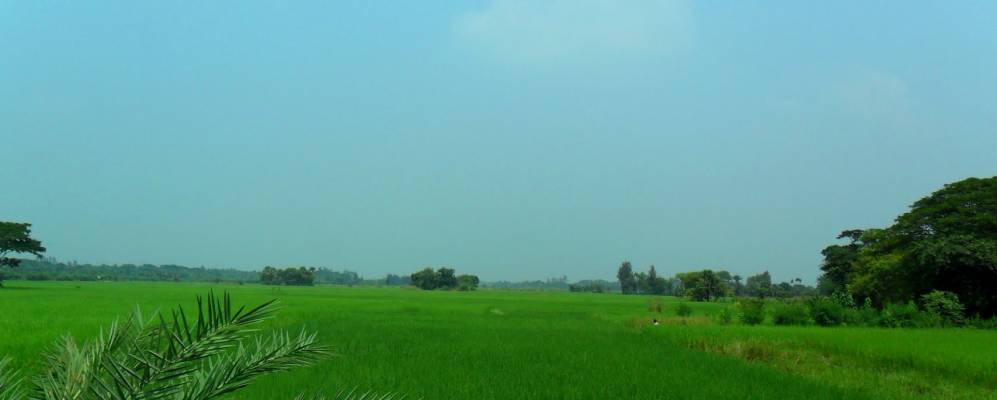 
            Фотография Джафарпура