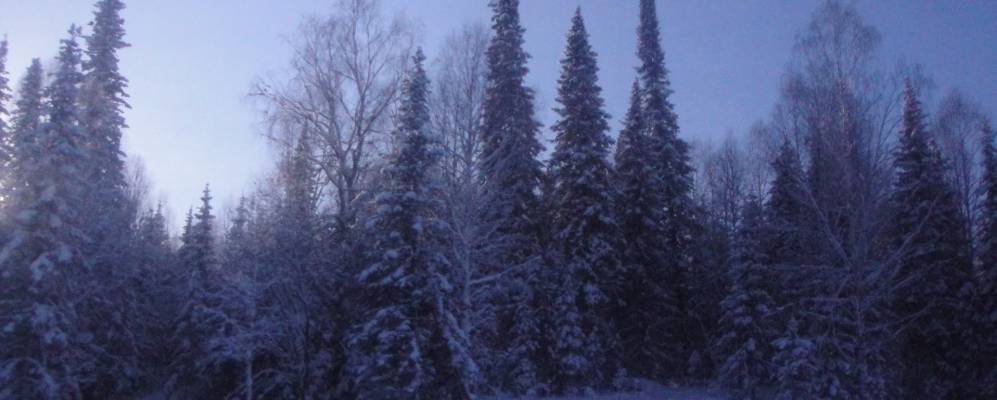 
            Фотография Центрального