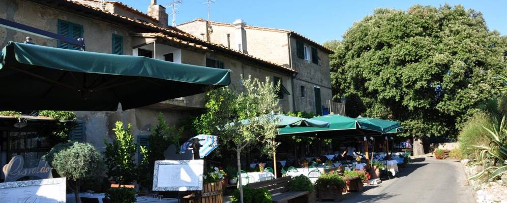 
            Фотография Болгери