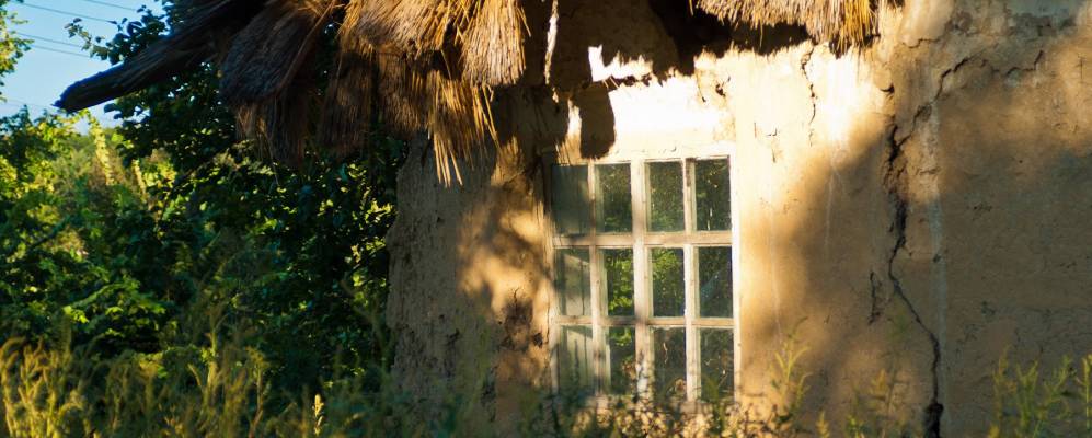 
            Фотография Слепорода