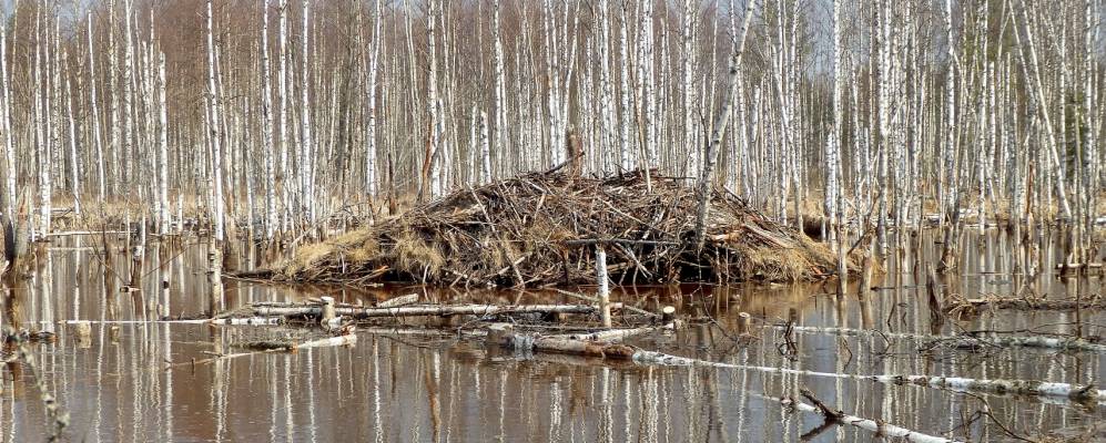 
            Фотография Заозерья