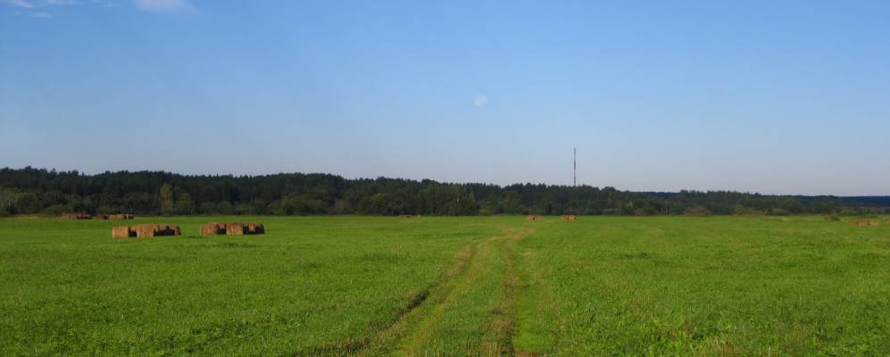 
            Фотография Новоселово