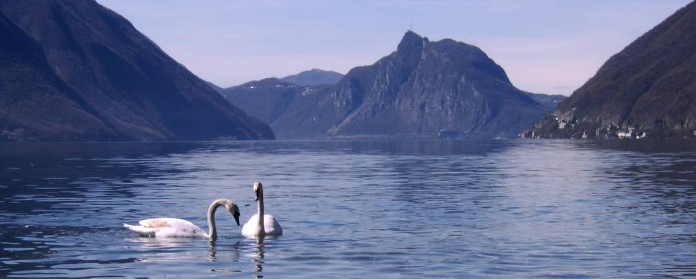 
            Фотография Кастелло