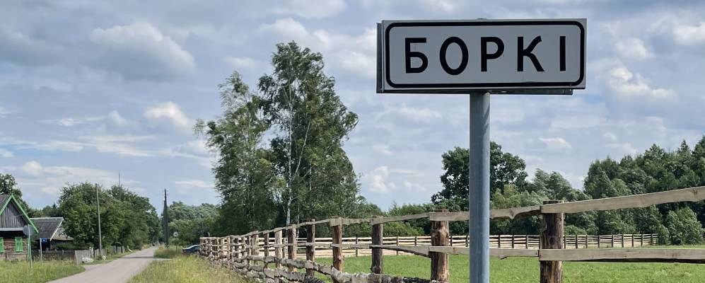 
            Фотография деревни Борки