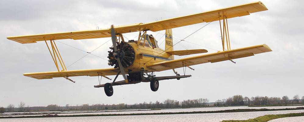 
            Фотография Айовы