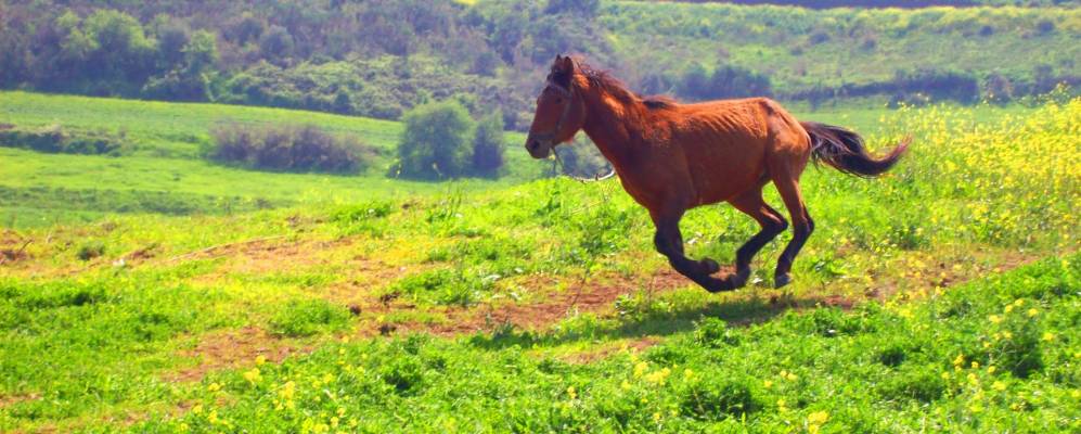 
            Фотография Иериссоса