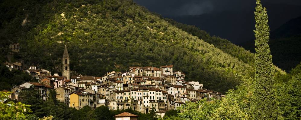 
            Фотография Пиньи