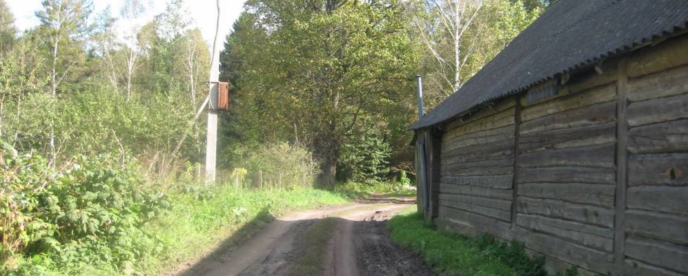 Фотография Лесницы