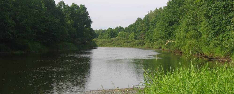 
            Фотография Жуково