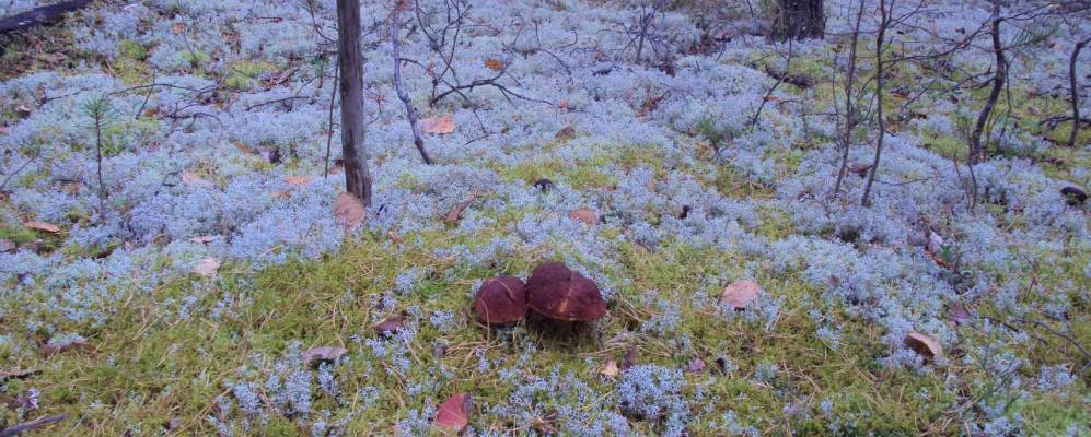 Фотография Улановской