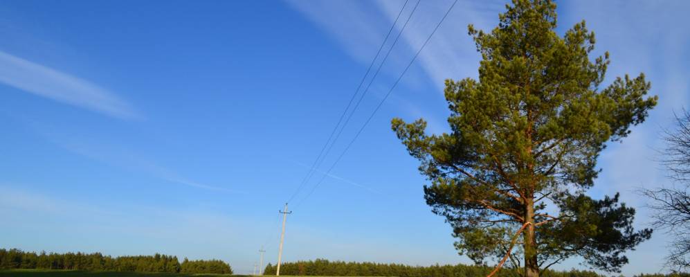 Фотография Ровчака