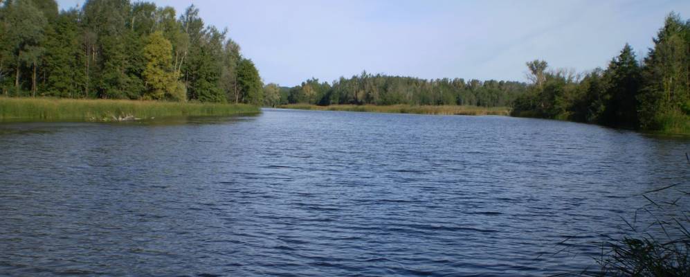 
            Фотография Драны