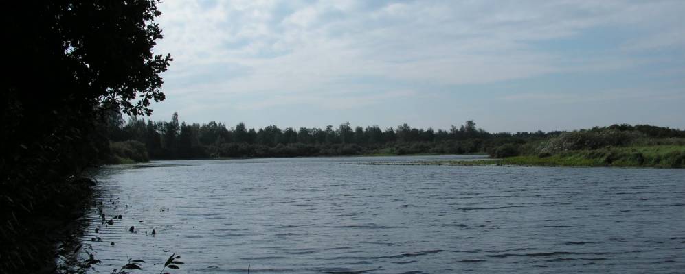 Фотография Рыбино