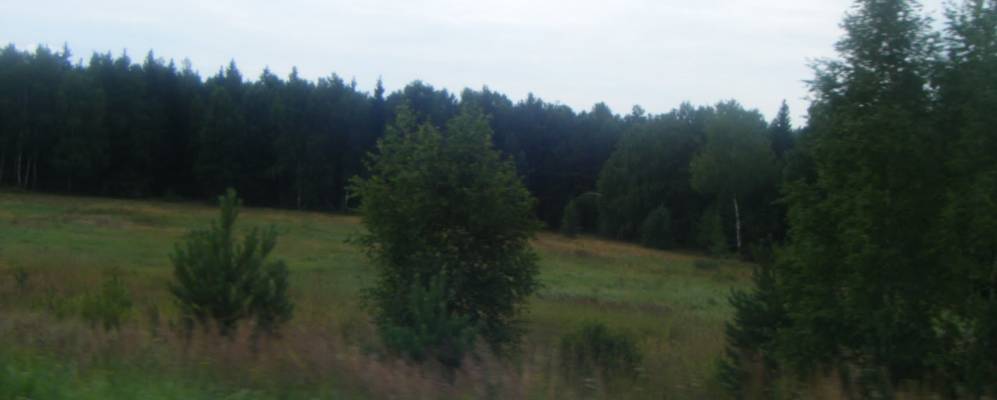 
            Фотография Грибчихи