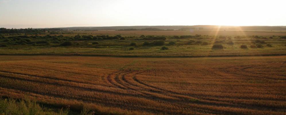 
            Фотография Орехово