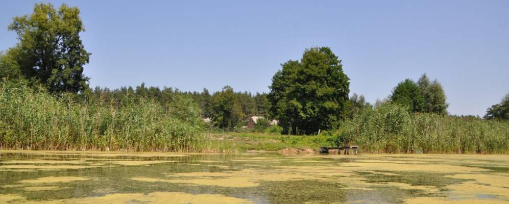 
            Фотография Затурино