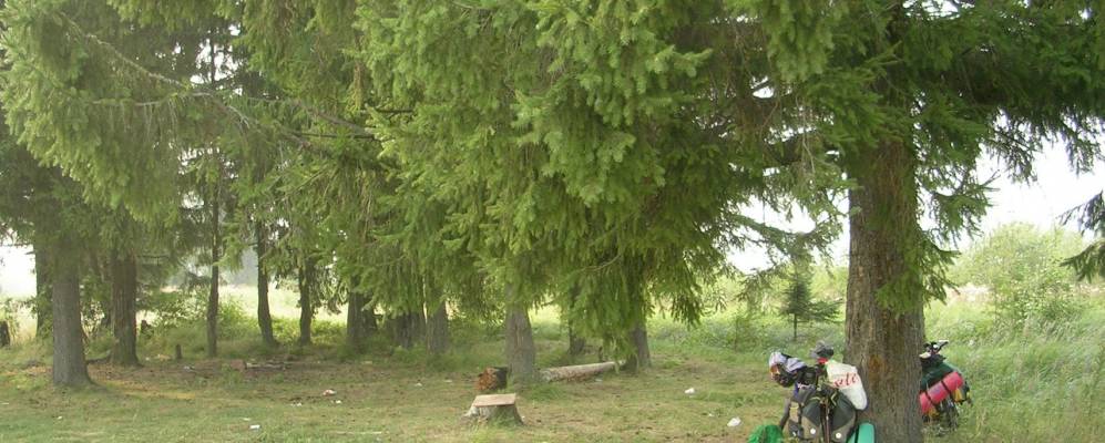 Фотография Рождествено