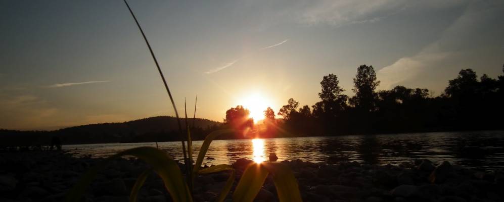 
            Фотография Майзаса