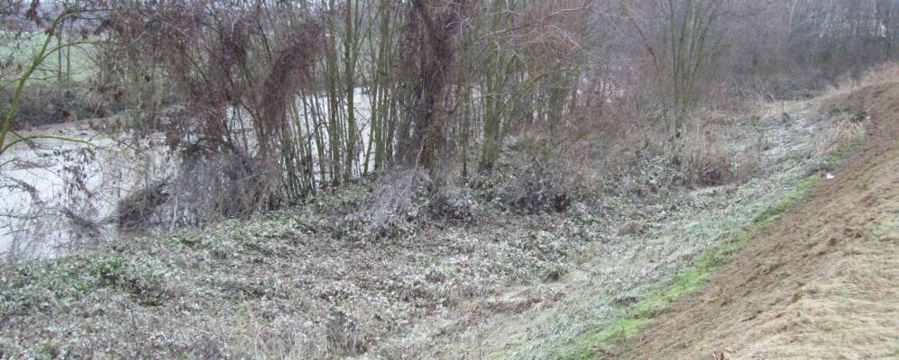 
            Фотография Сорболо