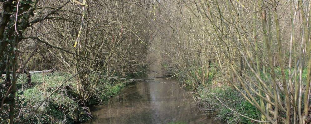 
            Фотография Муаанвиля (Округ Клермон)