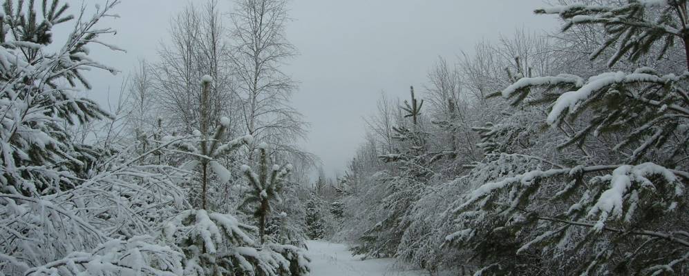 
            Фотография Дылдино