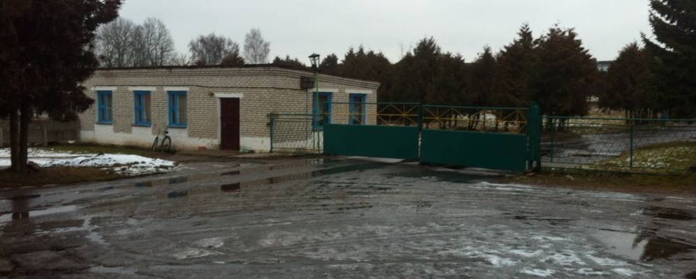 
            Фотография Тешевле