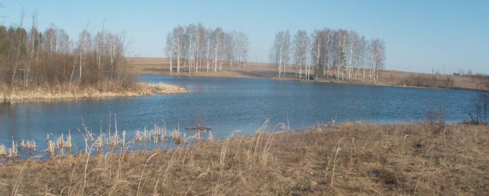 Фотография Большого Долгополово