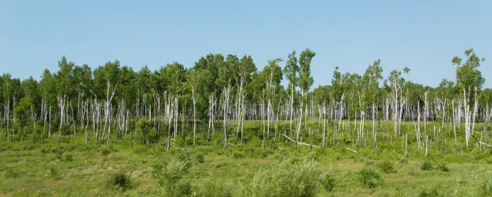 
            Фотография Валуево