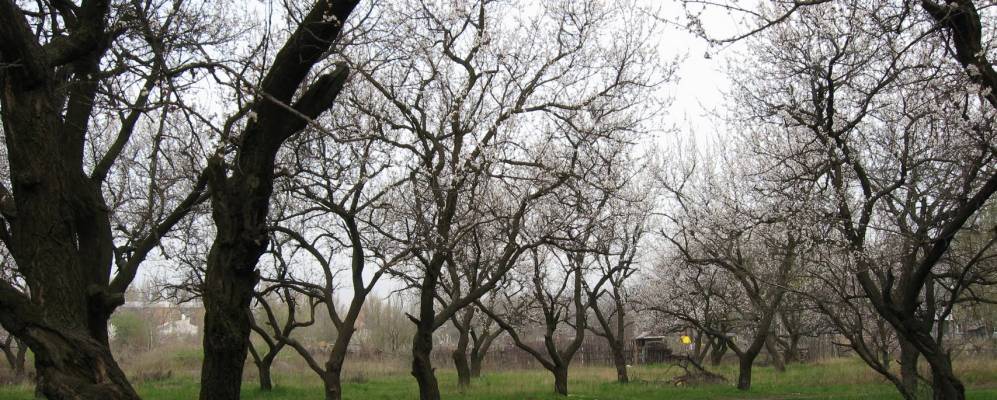 Фотография Майского