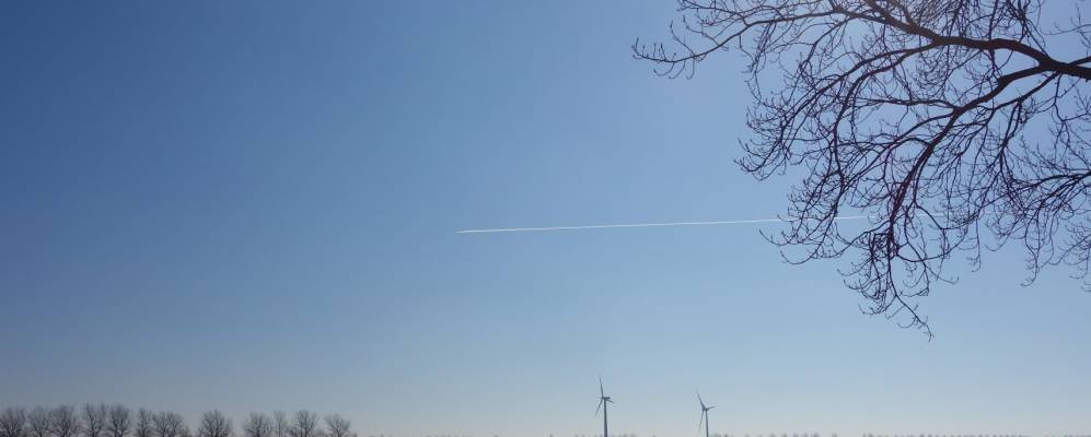 
            Фотография Ниуве-Нидорп