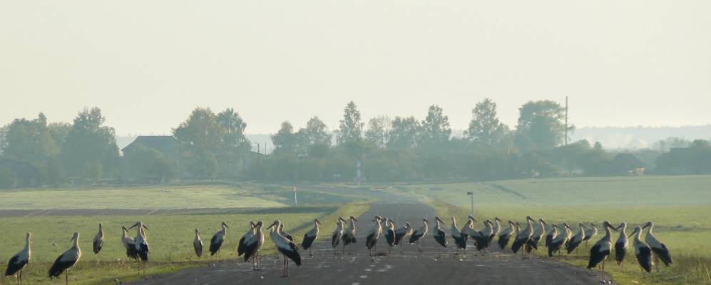 Фотография Котчино