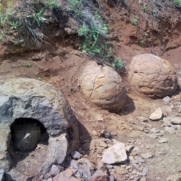 Мокрая Ольховка