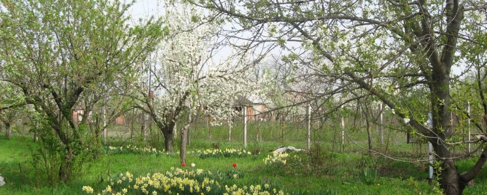 
            Фотография Черникова