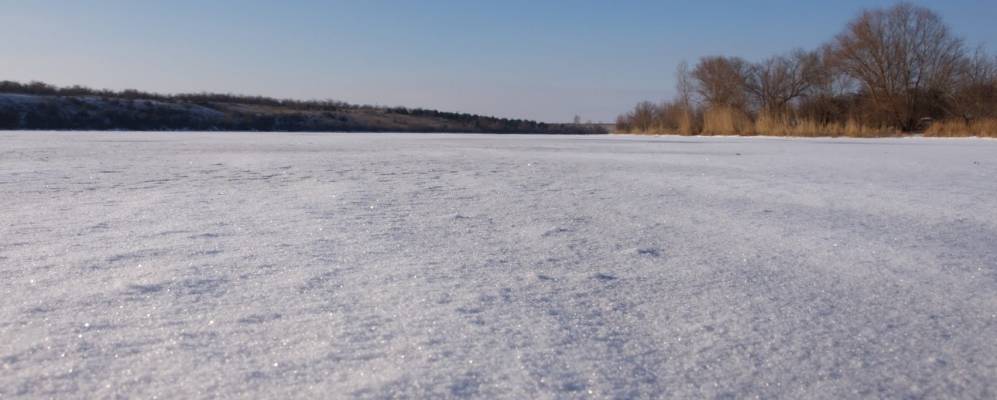 
            Фотография Крупицы